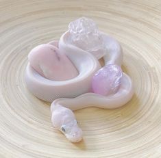 a pink and white snake with ice on it's back, sitting in a bowl