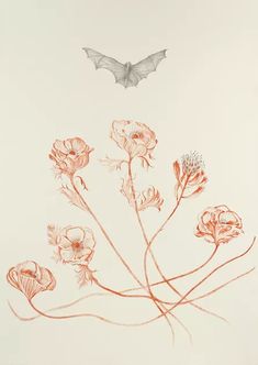 an orange and white drawing of flowers with a butterfly flying above it on a white background