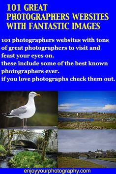 the top 10 great photographers'website features with fantastic images in blue and white colors