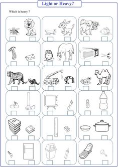 a worksheet with pictures of animals and objects