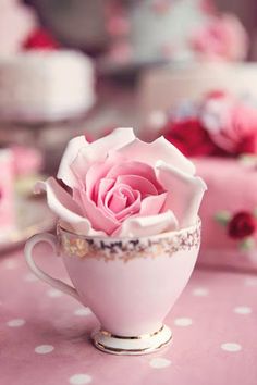 a pink rose sitting in a teacup on top of a table