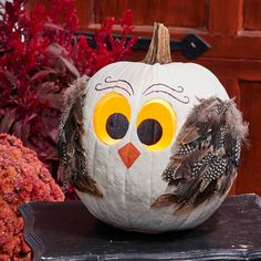 a pumpkin decorated with an owl face and feathers