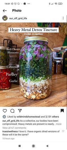 Medicinal Herbs Remedies, Tinctures Recipes, Medicine Garden, Diy Herbal Remedies, Medicinal Herbs Garden