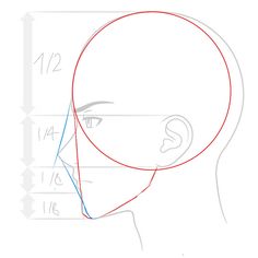 a drawing of the head and face of a man's head with lines drawn on it