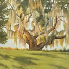 an oil painting of a large tree with spanish moss