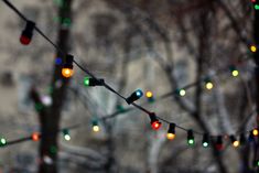 christmas lights are hanging from the branches of trees