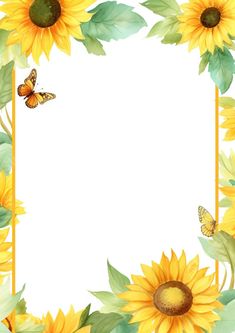 sunflowers and butterflies on a white background with an empty space in the middle