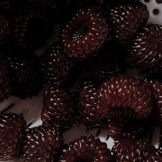 a pile of chocolate covered donuts sitting on top of a white plate