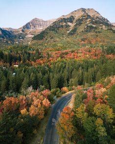 an aerial view of a road surrounded by trees with fall colors in the mountains behind it