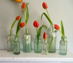 there are many vases with tulips in them on the shelf next to each other