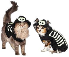 two dogs and a cat dressed up in skeleton costumes, standing next to each other