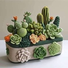 a crocheted cactus planter with succulents and cacti