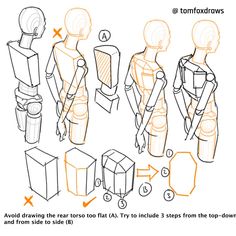 the instructions for how to draw female torsos