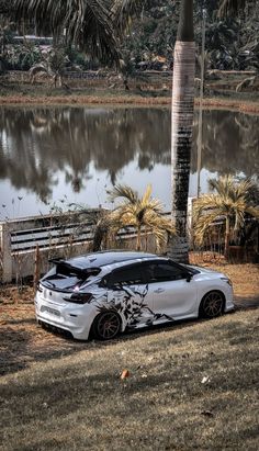 a white sports car parked next to a lake with palm trees in the back ground