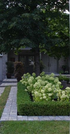 a large garden in front of a house