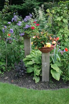 a garden filled with lots of different types of flowers