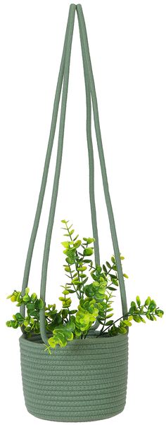 a green plant hanging from a rope basket