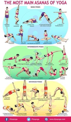 the most yoga poses for beginners to do in different positions, with instructions on how to