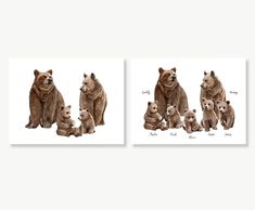 two pictures of bears and their cubs in watercolor on white paper, each with an individual's name