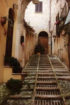 an alleyway with steps leading up to the door and potted plants on either side