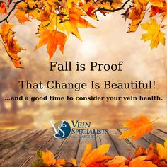 Fall is Proof That Change Is Beautiful! Change Is Beautiful, Colors Of Fall, Our Body