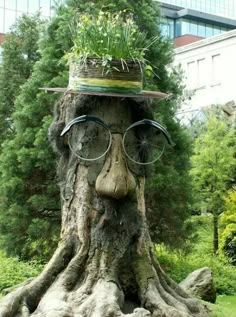 a tree trunk with a face wearing glasses and a hat on it's head