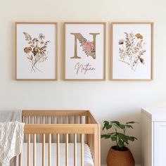 three framed pictures hang on the wall above a crib