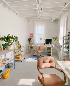 a room filled with lots of furniture and plants on top of it's shelves