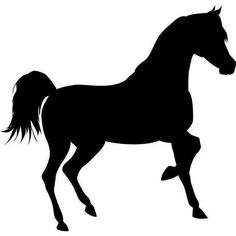 a black silhouette of a running horse on a white background, with long manes