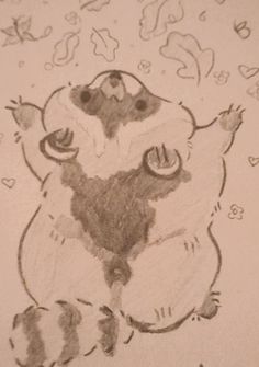 a drawing of a raccoon sitting on top of another raccoon's back