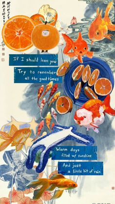 an advertisement with fish and oranges on it