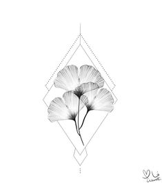 three white flowers are in the middle of a geometric design on a white paper background