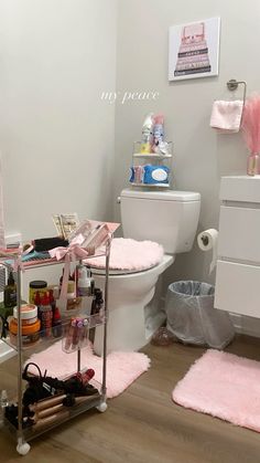 a white toilet sitting next to a pink rug on top of a hard wood floor