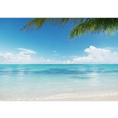 a beach scene with palm trees and the ocean