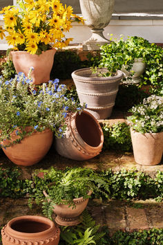 several potted plants are sitting on the steps