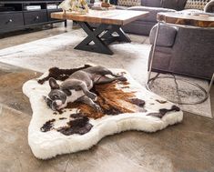 a dog laying on top of a rug in a living room