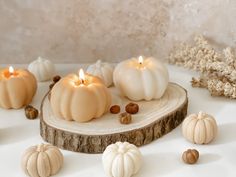 some white pumpkins and nuts are on a wooden slice with one candle in the middle