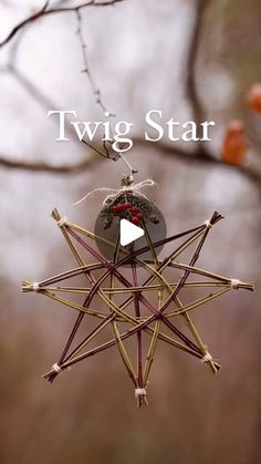 an ornament hanging from a tree branch with the words twig star on it