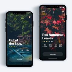 two smartphones displaying the red autumn leaves app on their screens, one with an image of trees