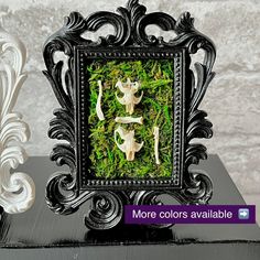 there is a picture frame with mushrooms in the moss on it and an ornate border