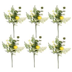 four yellow flowers with green leaves are shown in six different positions on a white background