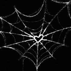 a spider web on a black background