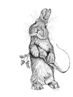 a pencil drawing of a rabbit holding onto a stick with leaves on it's tail