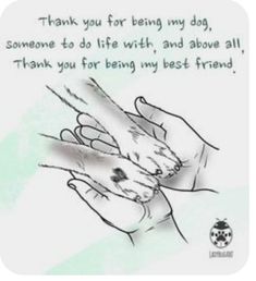 two hands holding each other with the words thank you for being my dog, someone to do