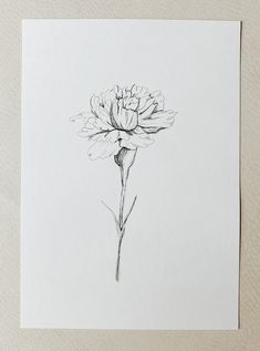 a black and white drawing of a flower on a piece of paper that has been drawn