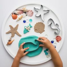 a child's hands on a plate with various sea animals and seashells