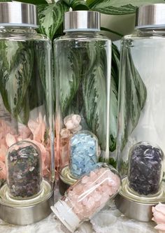 three glass jars filled with different types of rocks and crystals next to a potted plant