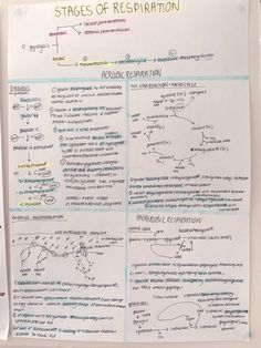 a white piece of paper with writing on it that says stages of resination