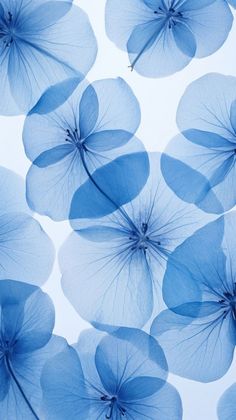 many blue umbrellas are floating in the air with their petals touching each other's sides