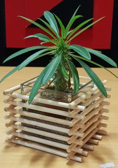 a small potted plant sitting on top of a wooden table